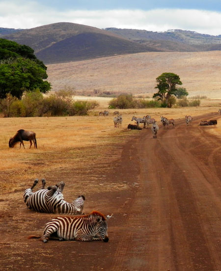 Affordable Holiday Tour Packages to Tanzania