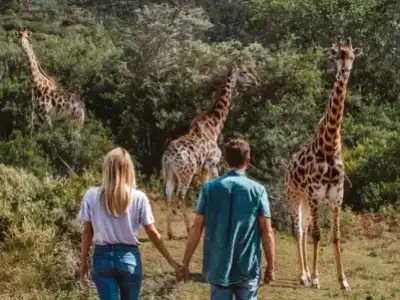 Tanzania Honeymoon Tour Packages From India