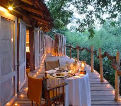 Luxury Tour Packages Array From India