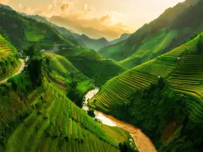 Vietnam: The Ultimate Journey