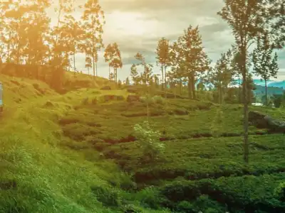 Sri Lanka Holiday Travel